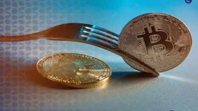 سافت فورک چیست؟ بررسی کامل مفهوم Soft Fork در ارز دیجیتال