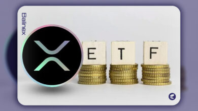7 شرکت بزرگ برای ETF ریپل به کمیسیون بورس آمریکا درخواست دادند