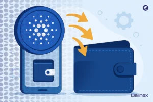 آموزش انتقال کاردانو به کیف پول | 0 تا 100 انتقال ADA