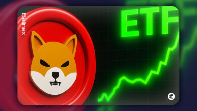 از میم کوین تا محصول مالی؛ مسیر دشوار شیبا اینو به سمت ETF