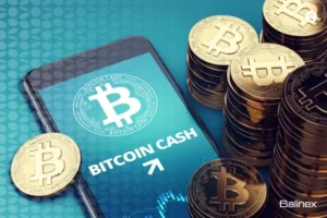 بهترین کیف پول بیت کوین کش چیست؟ معرفی 5 گزینه برای ایرانیان