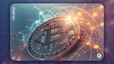 نهنگ ها ۵۶ هزار بیت کوین خریدند؛ آیا قیمت صعودی میشود؟