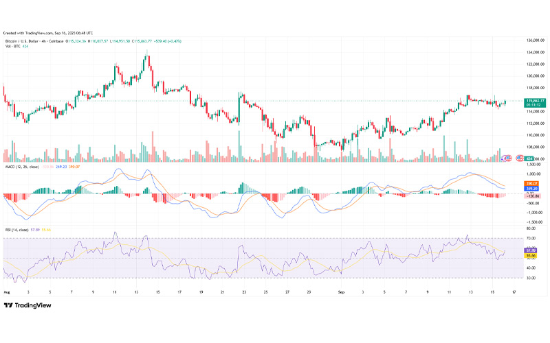 چارت قیمت بیت کوین (BTC)