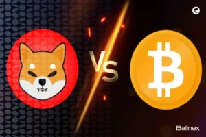 مقایسه شیبا و بیت کوین؛ سود کدام بهتر است؟