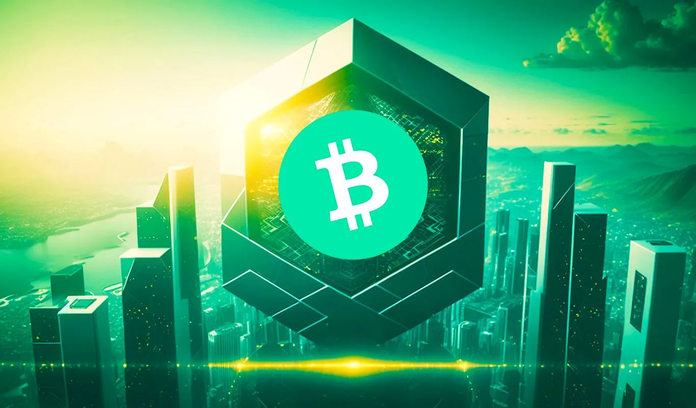 امن ترین کیف پول بیت کوین کش چیست؟