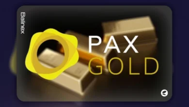با افزایش ارزش طلا در بازار ایران، آیا باید PAXG بخریم؟