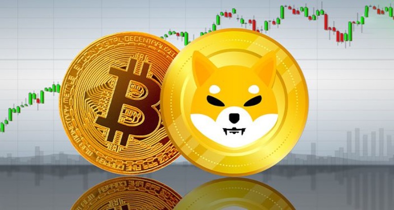 مقایسه شیبا و بیت کوین