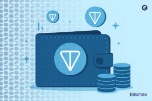 بهترین کیف پول تون کوین | 6 گزینه برای نگهداری TON