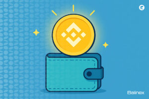 بهترین کیف پول بایننس کوین چیست؟ معرفی 7 ولت BNB