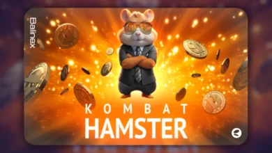 همستر کامبت؛ از تب و تاب جهانی تا واقعیت تلخ!