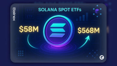 ورود ۵۸ میلیون دلار سرمایه به ETFهای سولانا برای بیستمین روز متوالی!