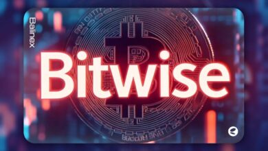 مدیر بیت وایز: سولانا به بیت کوین دیگری تبدیل می‌شود!