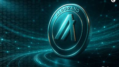 پیش بینی قیمت الگورند