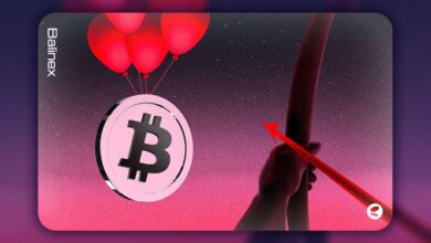 بیت کوین به زیر ۱۰۲ هزار دلار رسید | تحلیلگران هشدار سقوط بیشتر دادند!