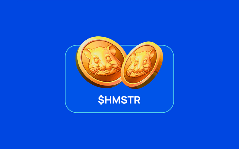 بهترین صرافی خرید همستر کامبت در ایران