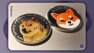 تحلیل تکنیکال دوج کوین، شیبا اینو و ترون امروز ۱۸ آبان