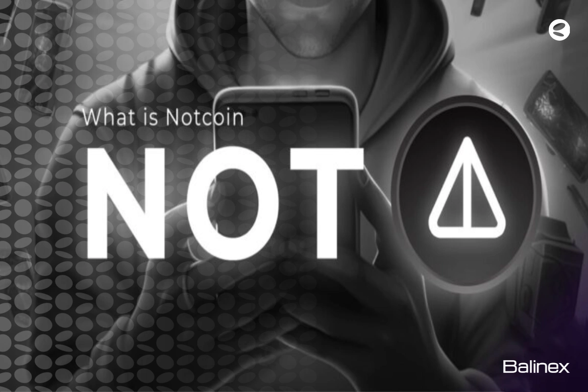ارز دیجیتال نات کوین چیست؟ بررسی کامل NOT + راهنمای خرید