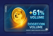افزایش ۶۱ درصدی معاملات دوج کوین هم زمان با کاهش نرخ بهره آمریکا