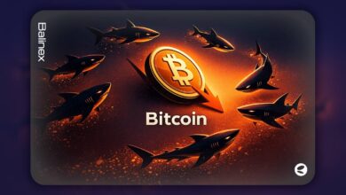 انباشت سریع بیت کوین توسط سرمایه گذاران بزرگ؛ کاهش ۳۰ درصدی قیمت!