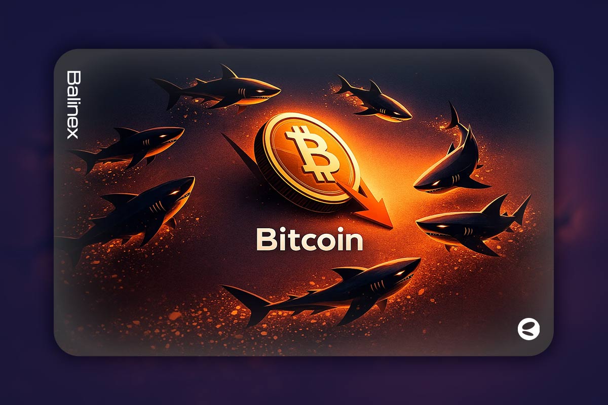 انباشت سریع بیت کوین توسط سرمایه گذاران بزرگ؛ کاهش ۳۰ درصدی قیمت!