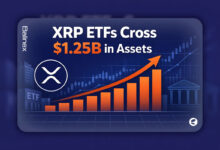 شروع قدرتمند ETFهای ریپل | جذب بیش از ۱.۱ میلیارد دلار سرمایه در کمتر از ۲ ماه!