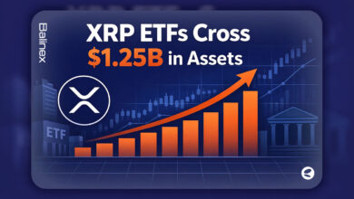 شروع قدرتمند ETFهای ریپل | جذب بیش از ۱.۱ میلیارد دلار سرمایه در کمتر از ۲ ماه!