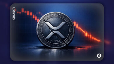 خروج سرمایه از ریپل شدت گرفت | آیا سقوط ادامه دار است؟