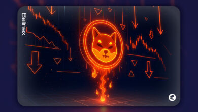 افت شدید قیمت شیبا اینو | رسیدن به کمترین سطح از دسامبر سال گذشته!