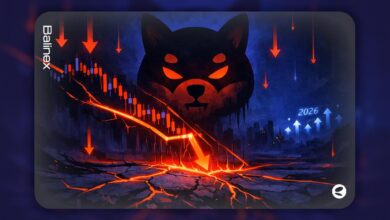 شیبا اینو در مسیر نزولی | آیا قیمت SHIB در سال ۲۰۲۶ برمیگردد؟