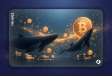 با وجود عملکرد بهتر بازار سهام، چرا نهنگ ها همچنان بیت کوین میخرند؟