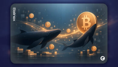 با وجود عملکرد بهتر بازار سهام، چرا نهنگ ها همچنان بیت کوین میخرند؟