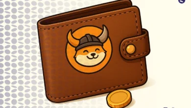 بهترین کیف پول فلوکی | معرفی 8 ولت FLOKI برای ایرانیان