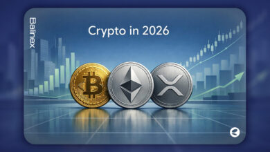 تحلیلگر بازار: 2026 می تواند سال بازگشت قدرتمند رمزارزها باشد!