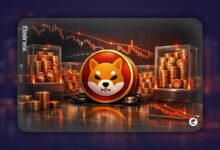 افزایش ذخایر شیبا اینو در صرافی ها | آیا ریزش جدید در راه است؟