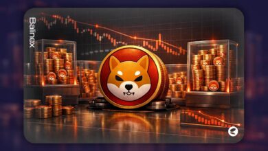 افزایش ذخایر شیبا اینو در صرافی ها | آیا ریزش جدید در راه است؟
