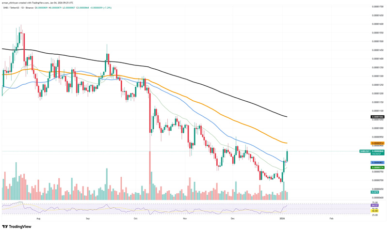 چارت قیمت شیبا اینو