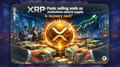 ریپل و احتمال رشد ۱۱۴ درصدی؛ شباهت عجیب با بحران سال ۲۰۲۲!