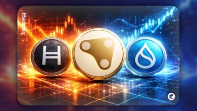 ۳ رمزارز مهم که در هفته پایانی فوریه ۲۰۲۶ باید زیر نظر داشته باشید!