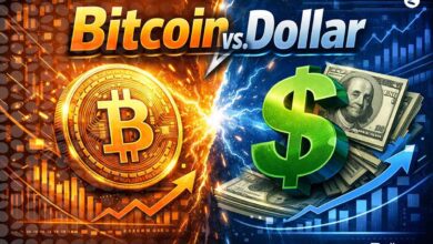 دلار بخریم یا بیت کوین؟ بررسی 0 تا 100 تفاوت BTC و USD