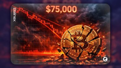 ریزش شدید بیت کوین: سقوط به کف ۹ ماهه با افت ۴۰ درصدی از سقف تاریخی!