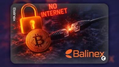 خرید بیت کوین با نت ملی؛ چگونه با نت ملی بیت کوین بخرم؟